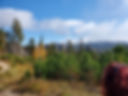 20221007_105920.jpg