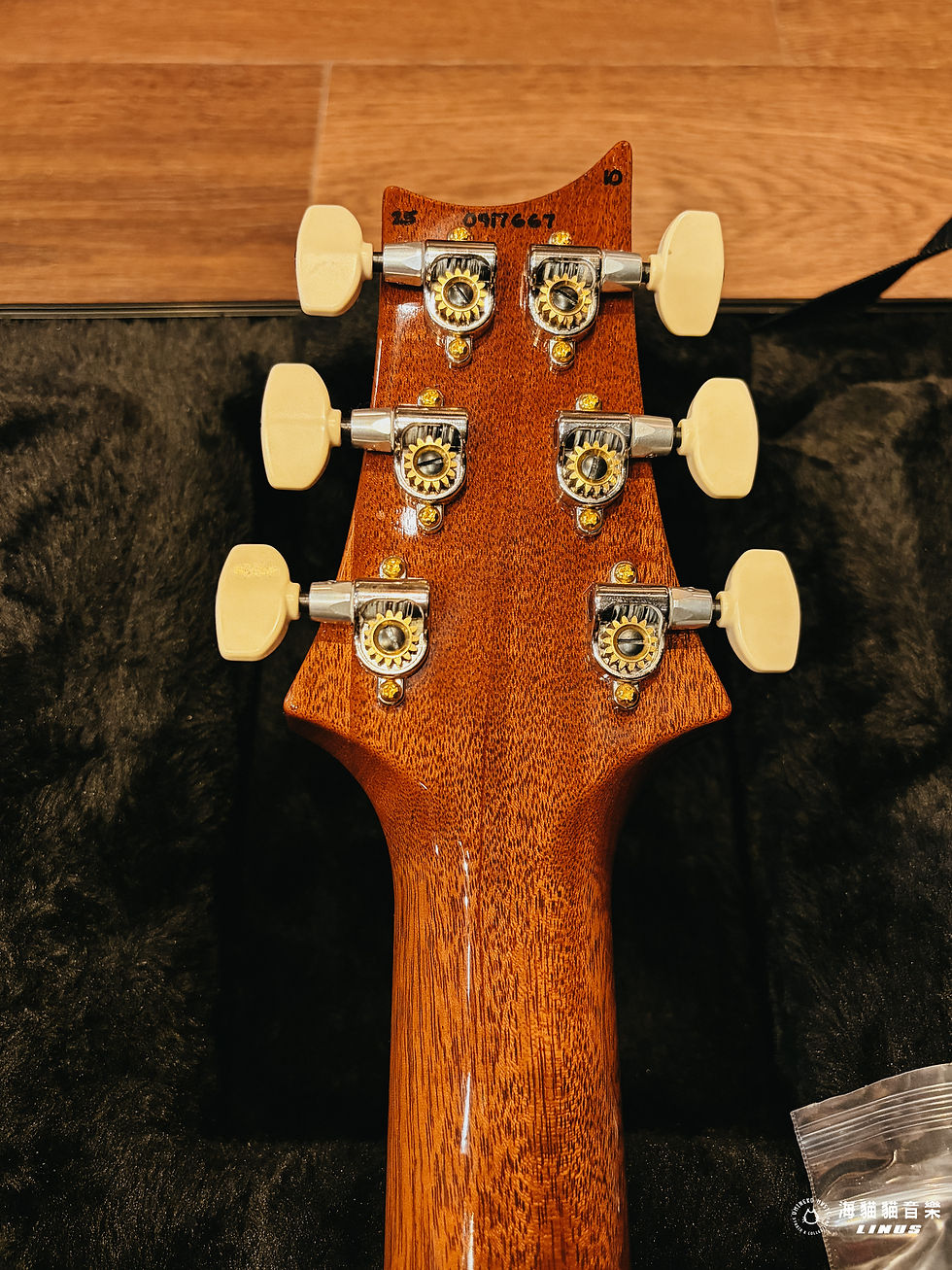 縮圖：PRS 2025 Custom 24 10Top Charcoal