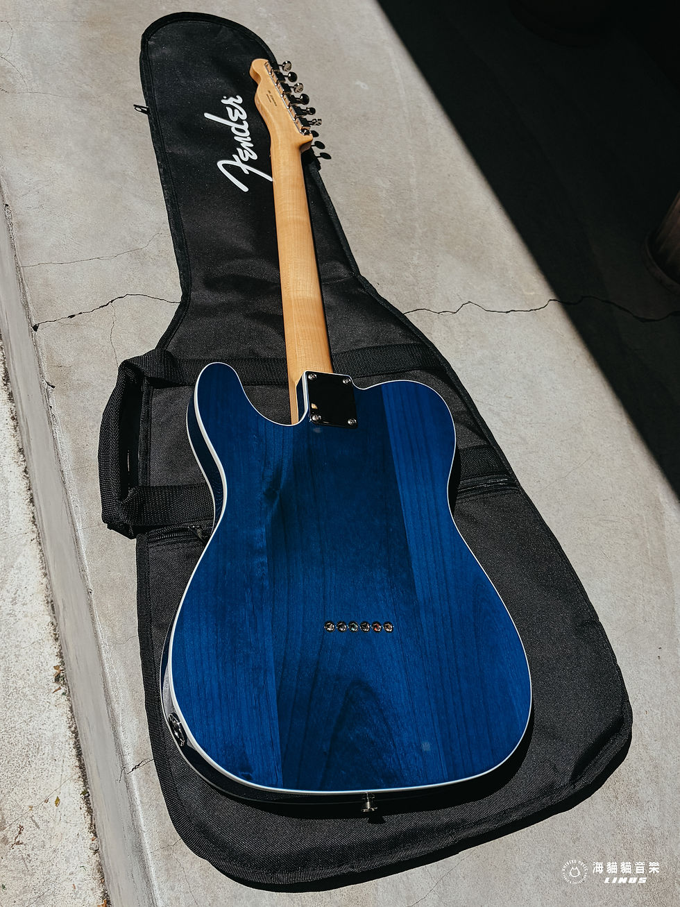縮圖：《限定！》Fender FSR Made in Japan Traditional 60s Telecaster Custom Alder Body