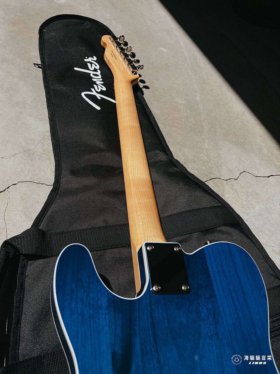 縮圖：《限定！》Fender FSR Made in Japan Traditional 60s Telecaster Custom Alder Body