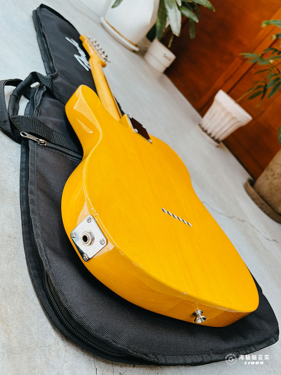縮圖：《超划算！》Fender Made in Japan Traditional '50s Telecaster Vintage Natural