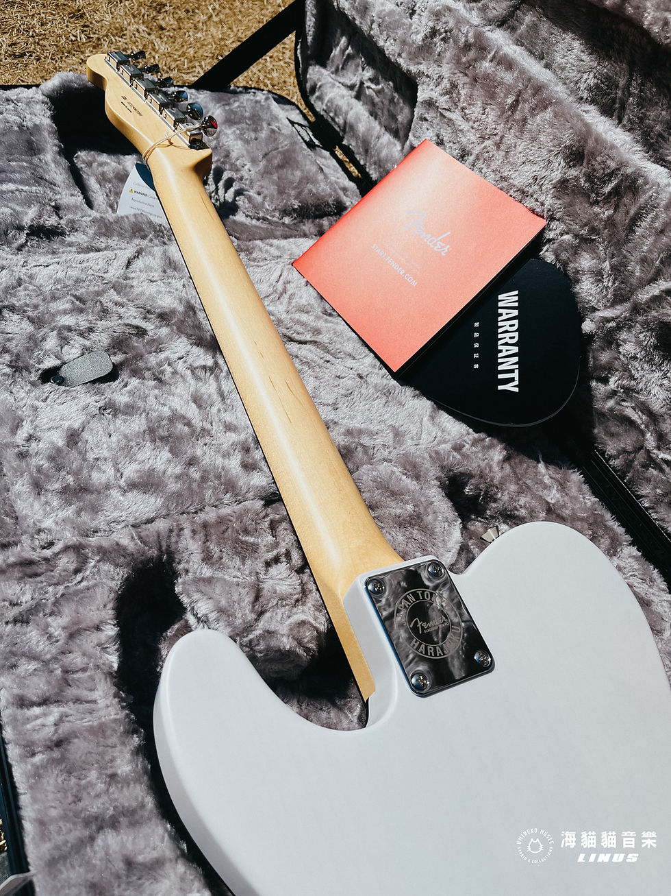 縮圖：Fender Made in Japan Limited Sakura Telecaster Oun 桜雲 - おううん