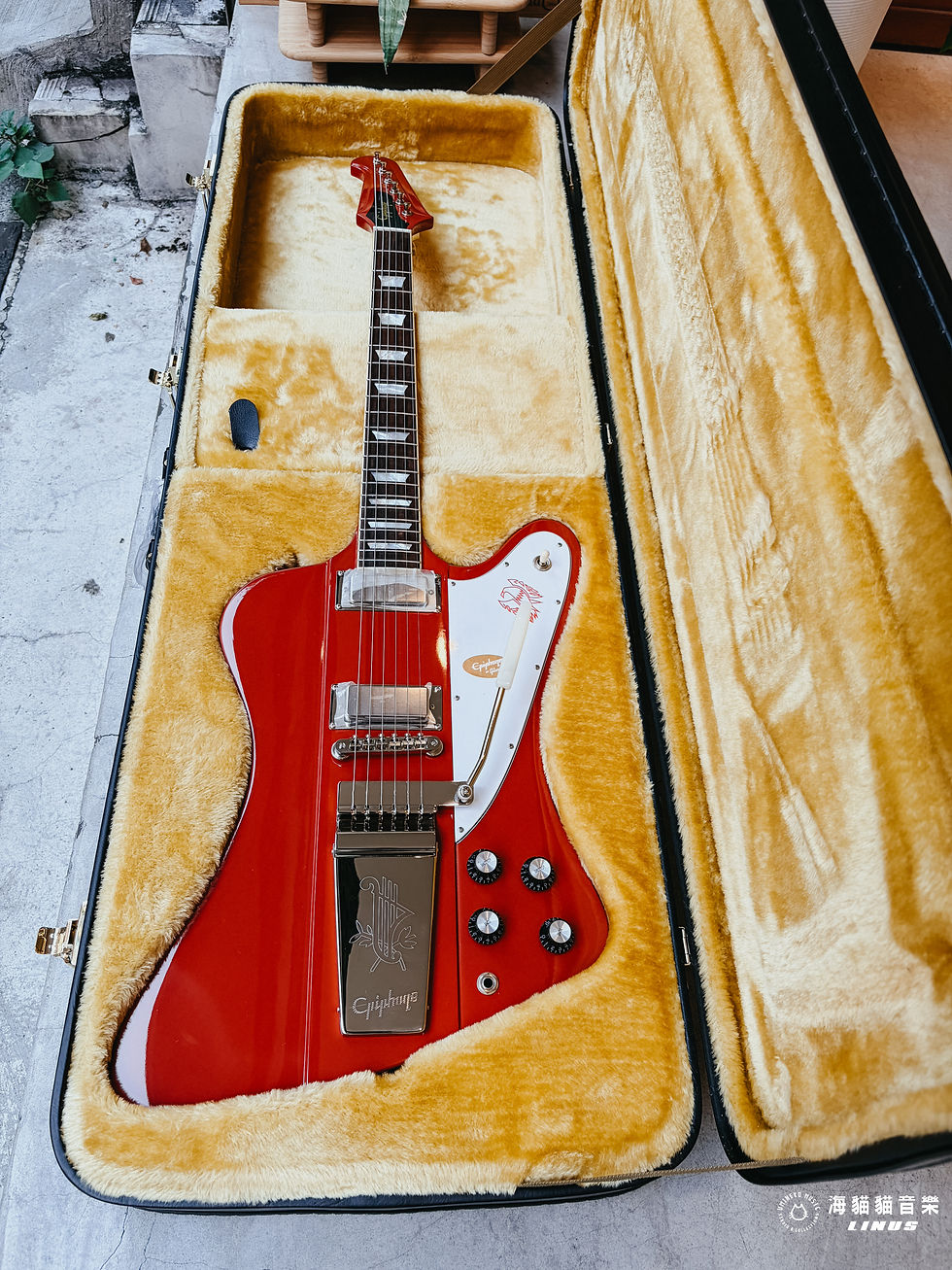 《超帥》Epiphone Inspired by Gibson Custom Shop 1963 Firebird V Maestro Vibrola