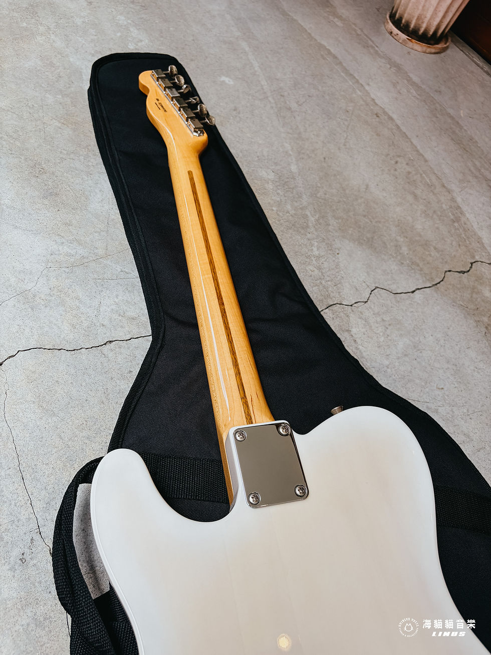 縮圖：《超好看！》Fender Made in Japan Traditional '50s Telecaster White Blonde