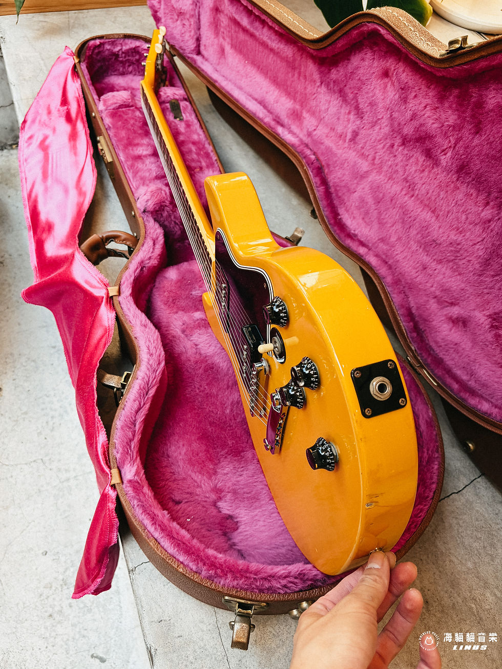 縮圖：《1996年出廠》Gibson Les Paul Special Double Cutaway DC TV Yellow