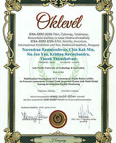 Narendran Ramasenderan - IDEA 2026 Gold Medal Certificate.jpg