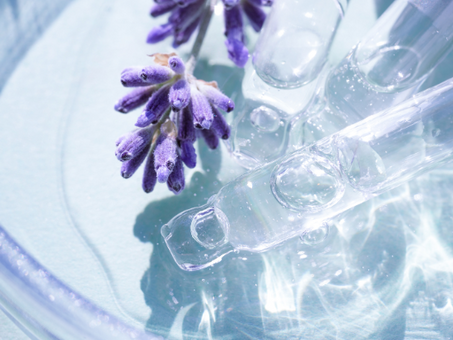 Hydrolate für den Darm – sanfte Pflanzenbegleiter für deine Verdauung
