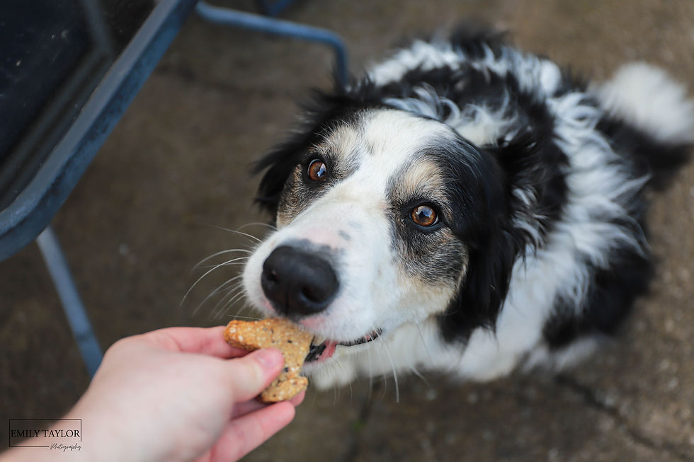 Thumbnail: Blueberry and Peanut Butter