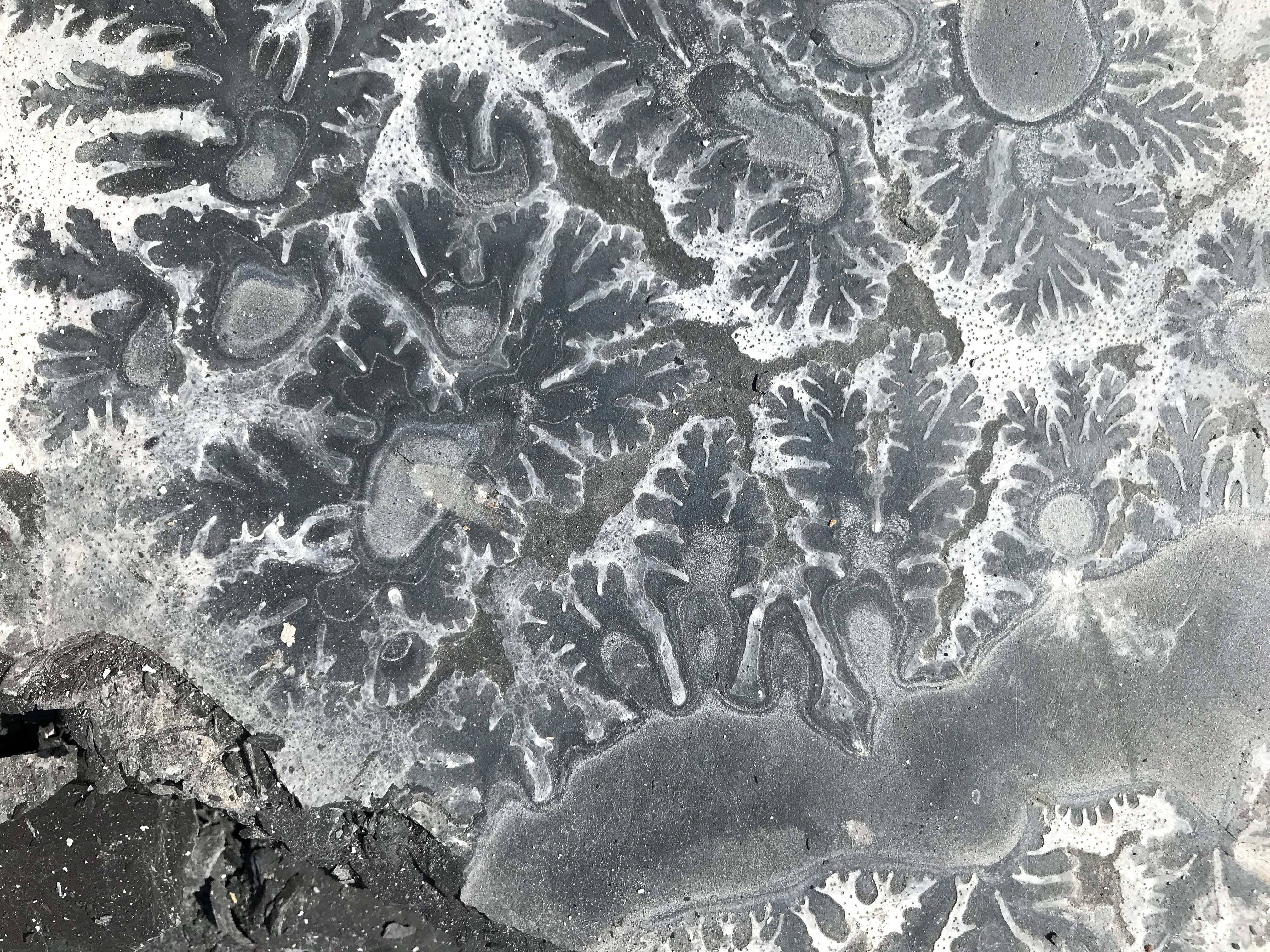 amazing patterns between the layers