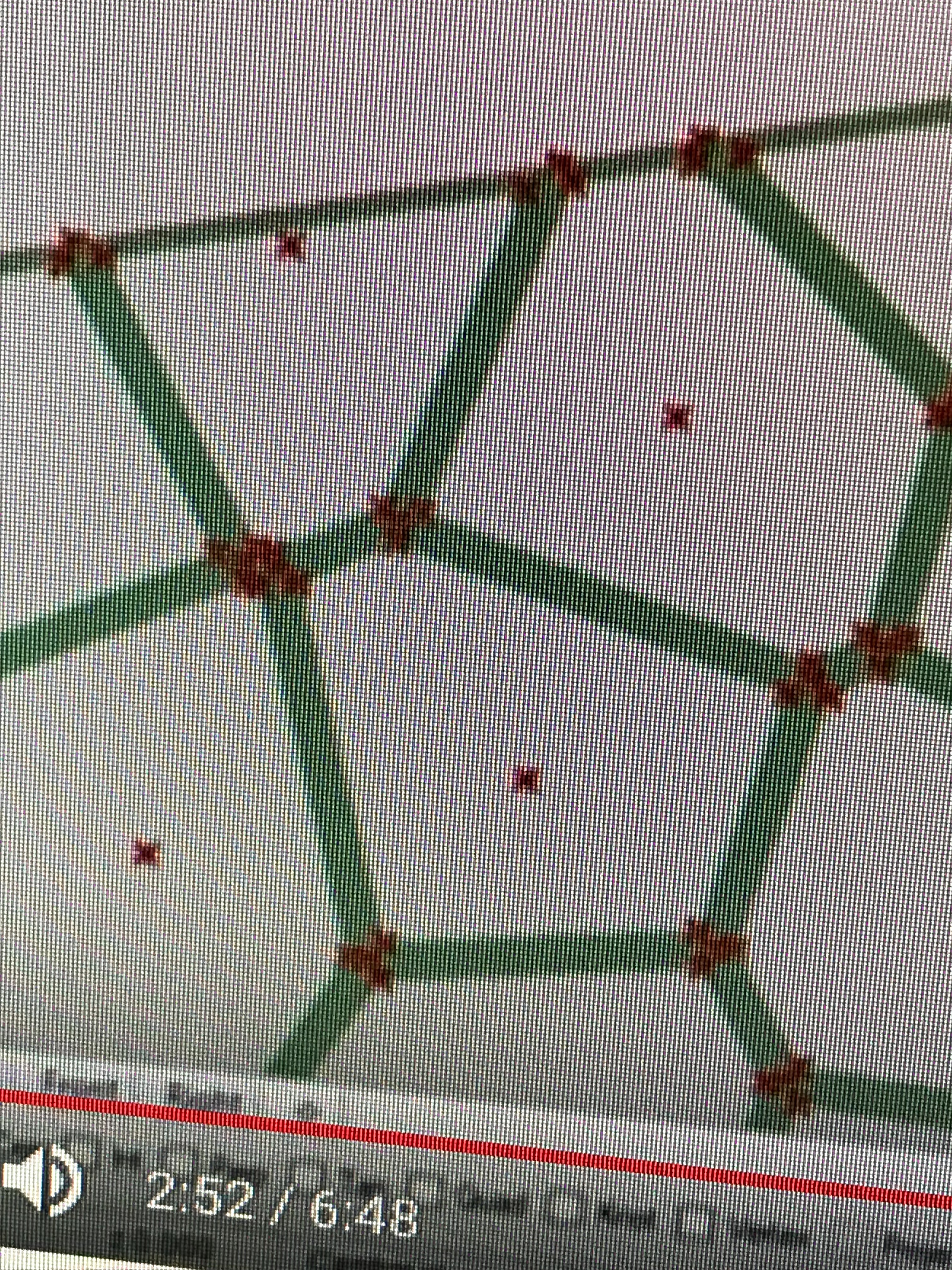 voronoi patterns