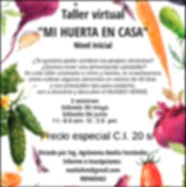 Taller 1 (Mi Huerta).png
