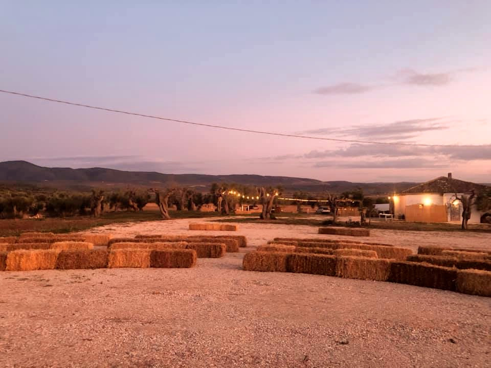 Az. Agr. Vocale - Gargano Bio Experience — foto 6