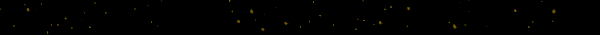 Happy-New-Year-Email-Strip_FR.gif
