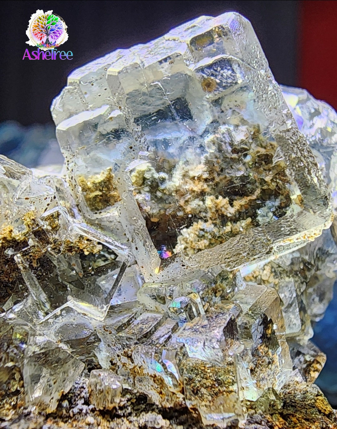 Super clear green flourite specimen 💚