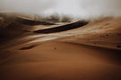 wildwifi-sossusvlei-29.jpg