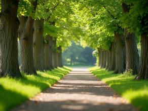 Overcoming Limiting Beliefs