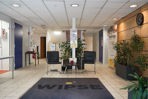 WIPSE PALAISEAU-02.jpeg