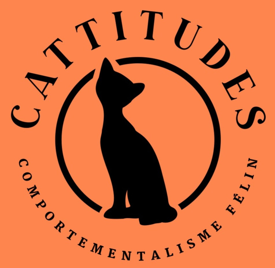 (c) Cattitudes.ch