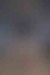 Yuhan Wang SS25 "The Rose Fist"