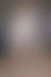 Yuhan Wang SS25 "The Rose Fist"