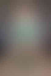 Yuhan Wang SS25 "The Rose Fist"