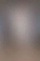 Yuhan Wang SS25 "The Rose Fist"