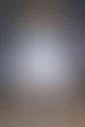 Yuhan Wang SS25 "The Rose Fist"