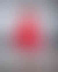 Simone Rocha SS25 LOOK09