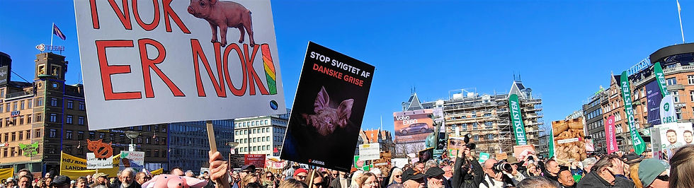 Foto pladsen webside.jpg