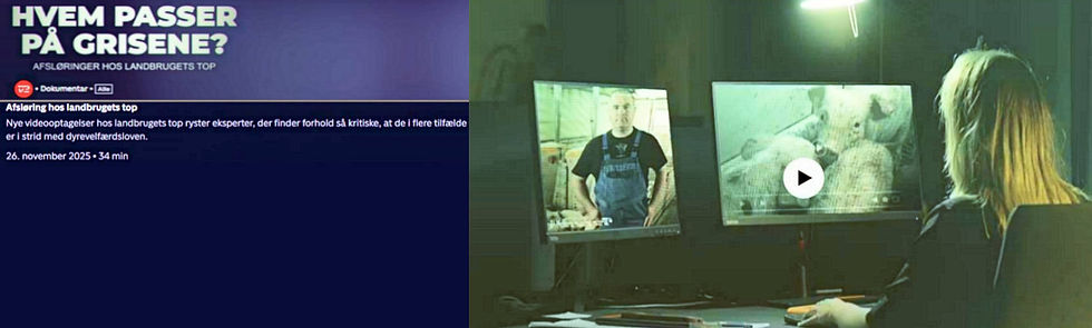 TV2 forside.jpg