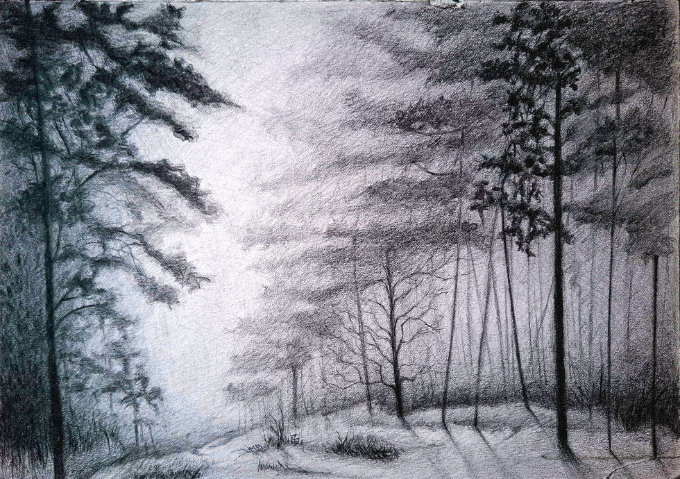 ´Waldstück in Lu´