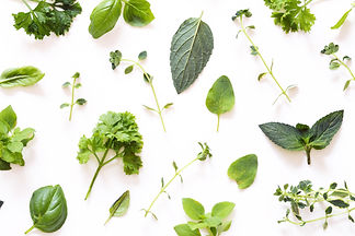 Herbs