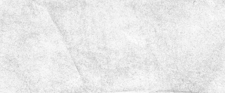 SOME THINGS SURVIVE ONLY IN FRAGMENTS.