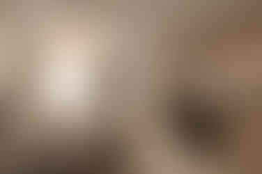 รีวิวโครงการ PEYLAA Phuket Autograph Collection Residences ดีไซน์ Modern Tropical บางเทา ภูเก็ต ภาพในห้อง ดีไซน์ภายใน PEYLAA Phuket คอนเซปต์ Exactly Like Nothing Else โดย Marriott ภาพส่วนกลาง สระว่ายน้ำและ Wellness Facilities ที่ PEYLAA Phuket ใกล้หาดบางเทา