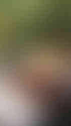 amanpuri อมันปุรี รีวิว อมันปุรี ราคา ริวิวโรงแรม รีวิวโรงแรมภูเก็ต รีวิวรีสอร์ต ภูเก็ต นอนที่ไหนดีในภูเก็ต เที่ยวภูเก็ต ที่พักภูเก็ต amanoi aman kyoto amansara amandari amanemu aman tokyo amanpulo amantaka aman nai lert bangkok เพจรีวิวโรงแรม เพจรับรีวิวโรงแรม เพจรีวิวรีสอร์ต