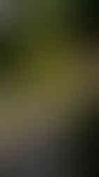 Amandayan Lijiang China รีวิวอมันดายัน ลี่เจียง จีน 大研安缦