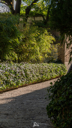 Amandayan Lijiang China รีวิวอมันดายัน ลี่เจียง จีน 大研安缦