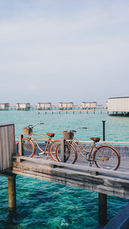 fari marina village The Ritz-Carlton Maldives, Fari Islands review  รีวิว เดอะ ริทซ์-คาร์ลตัน มัลดีฟส์ หมู่เกาะฟารี รีวิวโรงแรมในมัลดีฟ ที่พักในมัลดีฟส์ โรงแรมหรู hotel review เดอะริทซ์-คาร์ลตัน มัลดีฟส์ หมู่เกาะฟารี capella maldives patina maldives fari village island เที่ยวมัลดีฟส์ high season maldives Best time to go to Maldives
