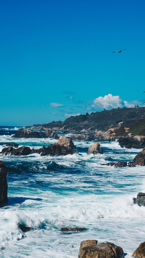 เที่ยวอเมริกา โรดทริป America West Coast Road Trip USA เที่ยวอเมริกาด้วยตัวเอง เช่ารถขับ รอบอเมริกา ซานฟรานซิสโก แคลิฟอเนียร์ ซีแอตเทิล ลอสแองเจลิส ซานดิเอโก้ พอร์ทแลนด์ Portland San Diego Los Angeles Seattle California ร้านอร่อย ร้านอาหาร คาเฟ่ ช็อปปิ้ง ชอปปิ้ง จุดน่าแวะในอเมริกา ขับรถรอบอเมริกา 