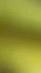 Afternoon Tea at Amandayan Lijiang