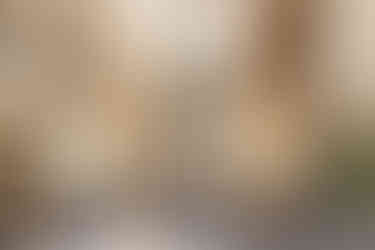 รีวิวโครงการ PEYLAA Phuket Autograph Collection Residences ดีไซน์ Modern Tropical บางเทา ภูเก็ต ภาพในห้อง ดีไซน์ภายใน PEYLAA Phuket คอนเซปต์ Exactly Like Nothing Else โดย Marriott ภาพส่วนกลาง สระว่ายน้ำและ Wellness Facilities ที่ PEYLAA Phuket ใกล้หาดบางเทา