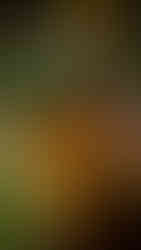 Exclusive Deal with Amandayan Lijiang China รีวิวอมันดายัน ลี่เจียง จีน Hoparound.co เที่ยวจีนด้วยตัวเอง รีวิวสายการบินลุยลี่ Ruili Airline Review บินตรงลี่เจียง เที่ยวลี่เจียง อมันรีสอร์ท ราคาพิเศษ ราคาคนไทย โปรโมชั่นคนไทย อมัน aman resorts aman.com 大研安缦