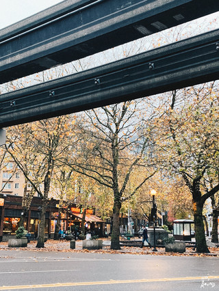 รีวิว Seattle ซีแอตเทิล เที่ยวซีแอตเทิล รีวิวอเมริกา USA Road Trip รีวิว Seattle ต้นกำเนิดของ Starbucks เที่ยวซีแอตเทิล รีวิวซีแอตเทิล Seattle เที่ยวเมืองซีแอตเทิล รีวิว ซีแอตเทิล Seattle review city guide รีวิว Seattle ซีแอตเทิล เที่ยวซีแอตเทิล USA Road Trip แจกแพลนเที่ยว Seattle