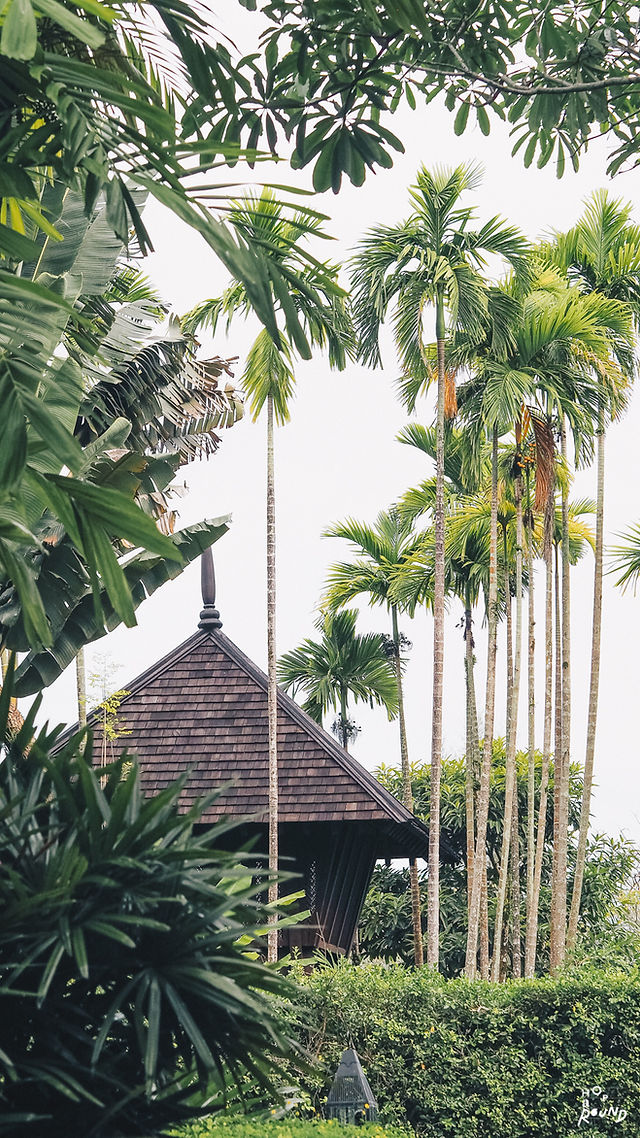 Phulay Bay รีวิว ภูเลเบย์ กระบี่ รีวิว Phulay bay รีวิวโรงแรมห้าด้าว รีวิวรีสอร์ท Luxury hotel review blogger 5 star hotel thailand รีวิว รีวิวโรงแรมกระบี่ โรงแรมถ่ายรูปสวย รีวิวรีสอร์ต รีสอร์ตกระบี่ รีสอร์ตถ่ายรูปสวย รีวิวโรงแรงน่าพัก โรงแรมสวยภาคใต้ a ritz carlton reserve review phulay bay krabi resort luxury hotel thailand Hoparound.co Let's Hoparound Luxury Beach Resort Phulay Bay, a Ritz-Carlton Reserve ภูเลเบย์ อะริทซ์ คาร์ลตัน รีเสิร์ฟ รีวิว
