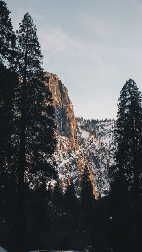 อุทยานแห่งชาติโยเซมิตี Yosemite national park รีวิว วิธีไป โรดทริป road trip ไปยากไหม USA Road trip เที่ยวอเมริกา เที่ยวเมกา เที่ยว USA สหรัฐ