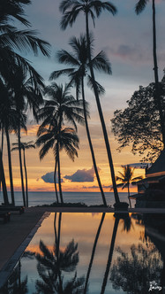 amanpuri อมันปุรี รีวิว อมันปุรี ราคา ริวิวโรงแรม รีวิวโรงแรมภูเก็ต รีวิวรีสอร์ต ภูเก็ต นอนที่ไหนดีในภูเก็ต เที่ยวภูเก็ต ที่พักภูเก็ต amanoi aman kyoto amansara amandari amanemu aman tokyo amanpulo amantaka aman nai lert bangkok เพจรีวิวโรงแรม เพจรับรีวิวโรงแรม เพจรีวิวรีสอร์ต ราคาคนไทย โปรโมชั่นคนไทย เราเที่ยวด้วยกัน หาดไพรเวท หาดพันทรี Pansea beach private beach in phuket