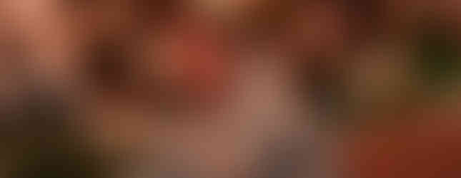 MOGO (Isola District) แพลนเที่ยวมิลาน อิตาลี รวมที่เที่ยว มิลาน Milan Italy อัพเดทล่าสุด Milan Calling Must Visit in Milan เที่ยว มิลาน เมืองหลวงแห่งดีไซน์ที่เต็มไปด้วยแรงบันดาลใจ ย่านโลคอลมิลาน เที่ยวมิลานด้วยตัวเอง แนะนำมิลาน ร้านอาหารมิลาน ร้านคาเฟ่มิลาน ช้อปปิ้ง มิลาน Milan Shopping