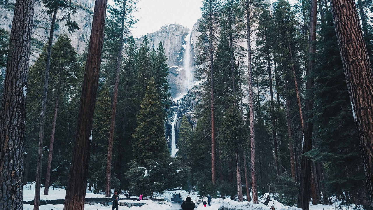 อุทยานแห่งชาติโยเซมิตี Yosemite national park รีวิว วิธีไป โรดทริป road trip ไปยากไหม USA Road trip เที่ยวอเมริกา เที่ยวเมกา เที่ยว USA สหรัฐ