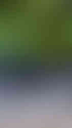 Exclusive Deal with Amandayan Lijiang China รีวิวอมันดายัน ลี่เจียง จีน Hoparound.co เที่ยวจีนด้วยตัวเอง รีวิวสายการบินลุยลี่ Ruili Airline Review บินตรงลี่เจียง เที่ยวลี่เจียง อมันรีสอร์ท ราคาพิเศษ ราคาคนไทย โปรโมชั่นคนไทย อมัน aman resorts aman.com 大研安缦