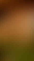 Amandayan Lijiang China รีวิวอมันดายัน ลี่เจียง จีน 大研安缦